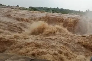 रिहंद सहित कई बांधों के फाटक खुलने से सोन नदी में बाढ़ 